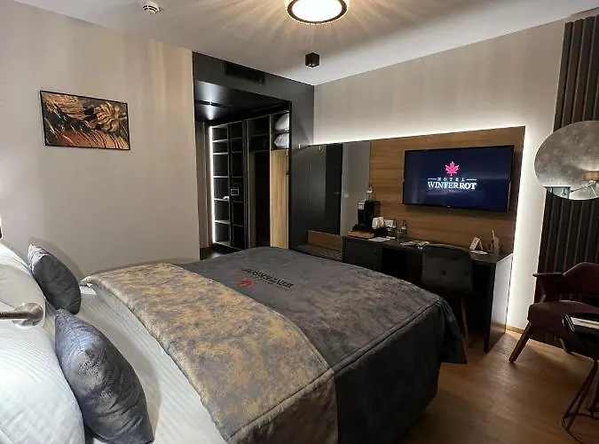 Hotel Design Winterrot 4*